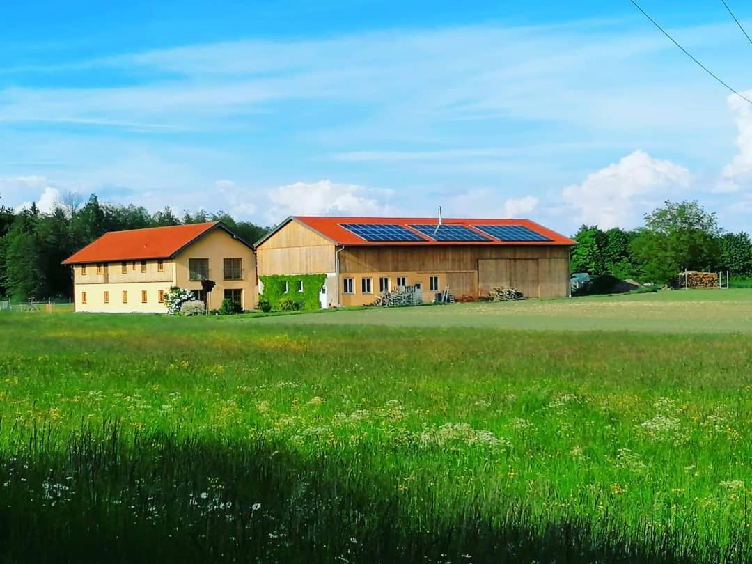 Апартаменты Niedergerner Alpaka Ranch Haiming Экстерьер фото